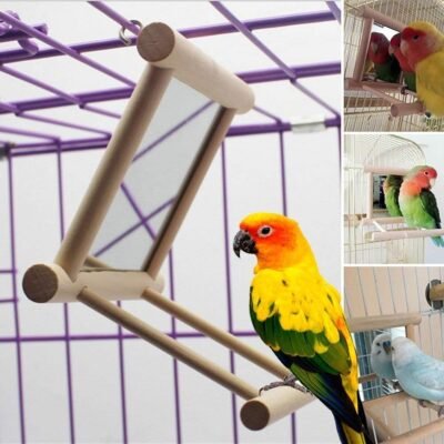 Blessed family Birds Toy for CageParrot Hanging Swing with