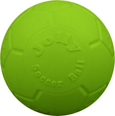 Jolly Pets Soccer Ball Floating-Bouncing Dog Toy