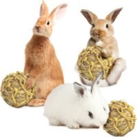 SunGrow Seagrass Ball 3 inches Bouncy Chewable Teething Pet Toy for