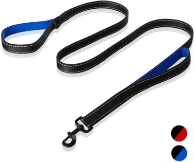 Rabbitgoo Padded Traffic 2 Handles Dog Leash 6 feet Long Dog Leash