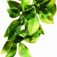 Exo Terra Plastic Terrarium Plant Large Mandarin