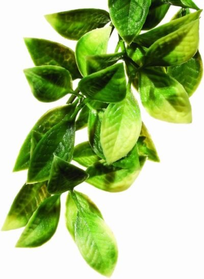Exo Terra Plastic Terrarium Plant Large Mandarin