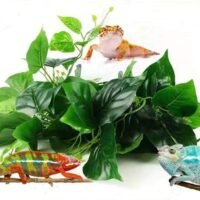 KERUIDENG Reptile Plants - Vines for Reptiles and Amphibians-