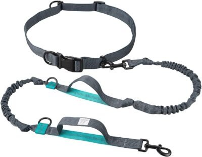 TaoTronics Retractable Hands Free Dog Leash with Dual Bungees for up