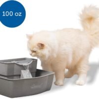 PetSafe Drinkwell Multi-Tier Cat and Dog Water Fountain - Automatic