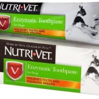 Nutri-Vet Enzymatic Toothpaste for Dogs Non-Foaming & Quality Design
