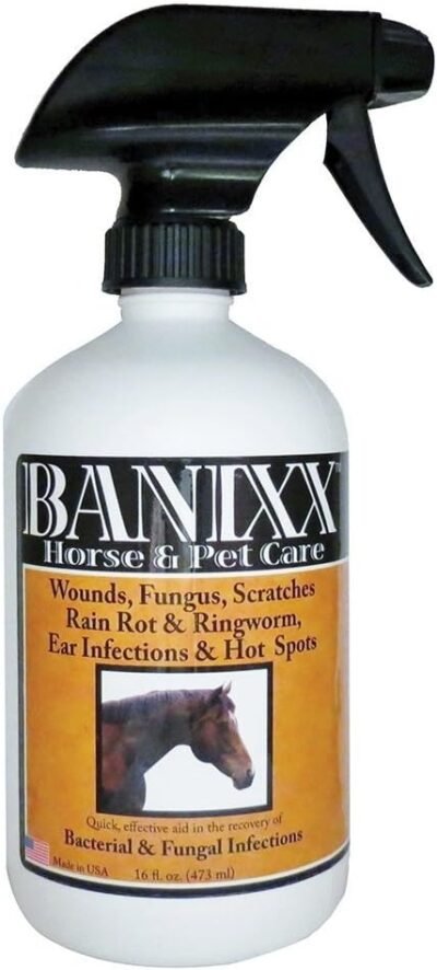Banixx DogCat Ear Infection Hot Spot & Ringworm Treatment Itchy Skin