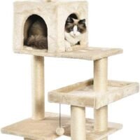 AmazonBasics Multi-Level Cat Tree with Scratching Posts