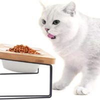 FUKUMARU Elevated Cat Ceramic Bowls Small Dog 15 Tilted Raised Food