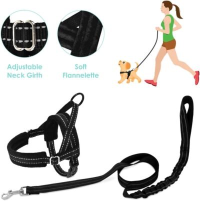 SlowTon No Pull Small Dog Harness and Leash Heavy Duty Easy for Walk