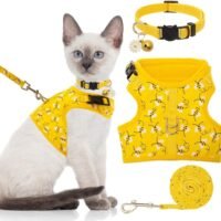 BINGPET Cat Harness with Leash and Collar for Walking - Escape Proof