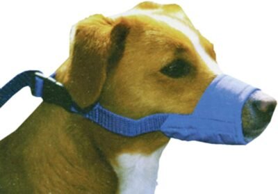 Four Flags Quick Muzzle for Dogs Small1 pcBlue