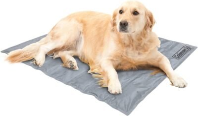 Coleman Comfort Cooling Gel Pet Pad Mat in Large 20'x36' for Large