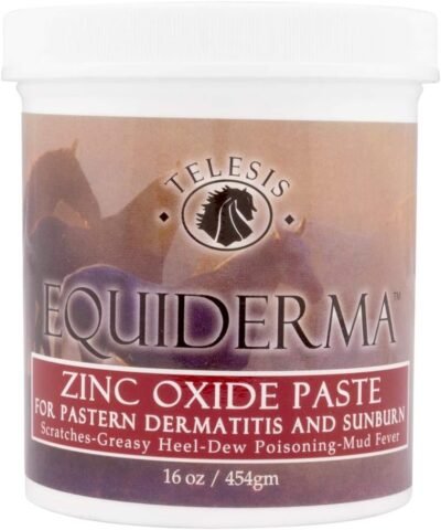 Equiderma Zinc Oxide Paste for Horses 16 Ounces Each