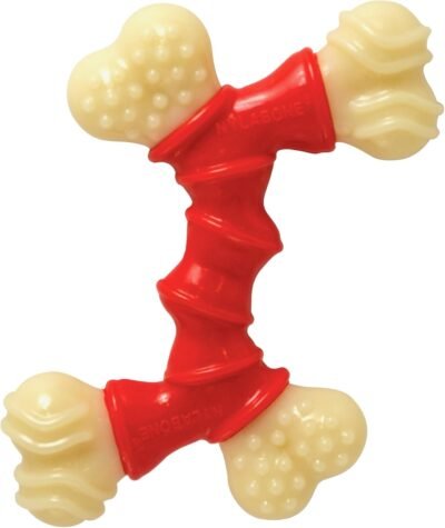 Nylabone Double Bone Power Chew Long-Lasting Dog Toy