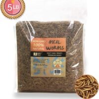JARDTEC Non-GMO Dried Mealworms - 100 Natural Treats for Birds