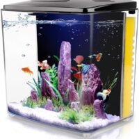 FREESEA 14 Gallon Betta Aquarium Fish Tank with LED Light and Filter