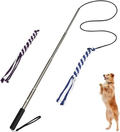 POPETPOP Dog Outdoor Toy Extendable Teaser Wand Outside Interactive