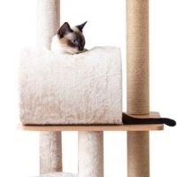 Catry Large Activity Cat Tree Scratching Post Activity Center Wooden