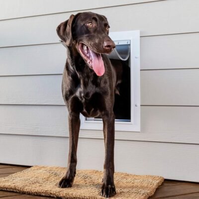 PetSafe Wall Entry Pet Door for Dogs and Cats with Telescoping Tunnel