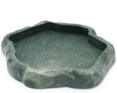 SLSON Reptile Feeder Terraium Bowl ABS Plastic for Food and Water