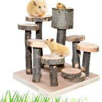 CooShou Hamster Wood Playground Toy Apple Wood Chewing Toys Hamster