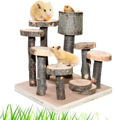 CooShou Hamster Wood Playground Toy Apple Wood Chewing Toys Hamster