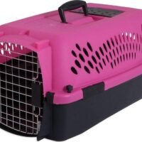 Aspen Pet Porter Heavy-Duty Pet Kennel