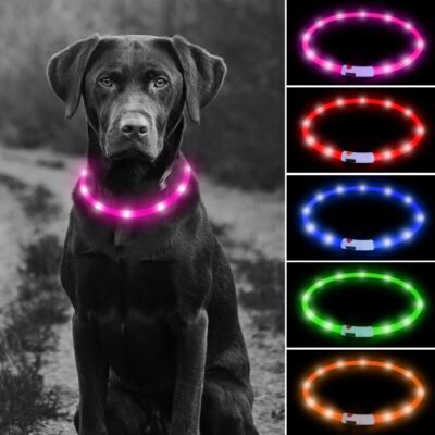 USB Rechargeable LED Dog Collar - Glowing Pet Safety Collar Silicone