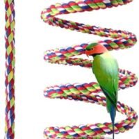 Bird Perch Rope Bungee Bird Toy