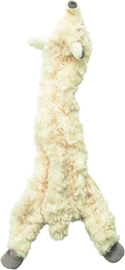 SPOT Skinneeez Stuffless Dog Toy with Squeaker For All Dogs