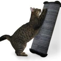Omega Paw Lean-It Anywhere Wide Scratching Post