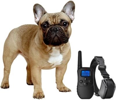 eXuby Shock Collar for Small Dogs with Remote - Includes 2 Collars -