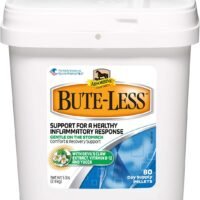 Absorbine W F Young 430422 5 lb Bute Less Pellets