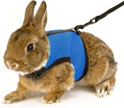 Calunce Soft Rabbits Harness with Leash