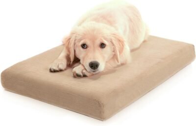 Milliard Premium Orthopedic Memory Foam Dog Bed with Anti-Microbial