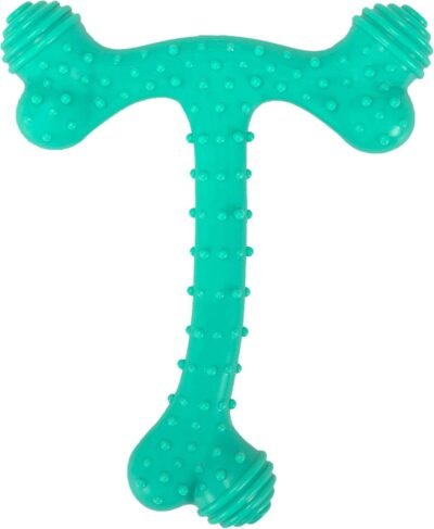 Arm & Hammer Ora-Play T-Bone Dental Chew Toy for Dogs Best Dog Chew