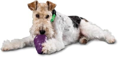 PetSafe Busy Buddy Squirrel Dude Dog Toy Treat Dispensing Dog Toy