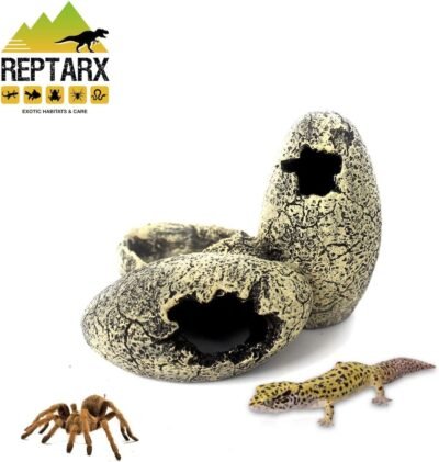 Reptile Amphibian Tarantula Snake Gecko & Insect Tank DecorHide Cave