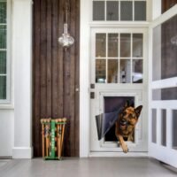 Ideal Pet Products Designer Series Ruff-Weather Pet Door with