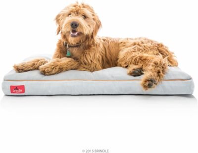 Brindle Soft Memory Foam Dog Bed with Removable Washable Cover