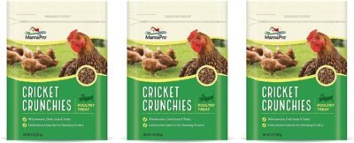 Manna Pro 3 Pack of Cricket Crunchies 5 Ounces Each Poultry Treat
