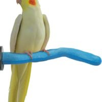 Sweet Feet and Beak Safety Pumice Perch for Birds Features Real
