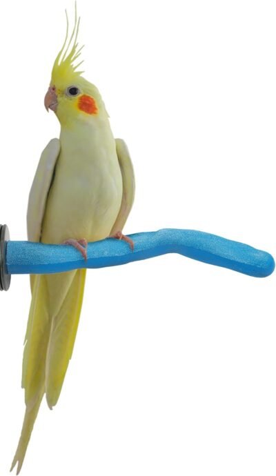 Sweet Feet and Beak Safety Pumice Perch for Birds Features Real