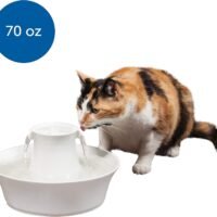 PetSafe Drinkwell Avalon Pet Water Fountain Ceramic Drinking Fountain