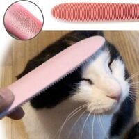 Blackhole Real Cat Tongue Textured Grooming Brush Best Nurturing