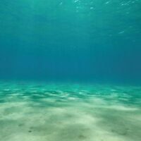 SPORN Aquarium Background Static Cling Ocean Floor 36' x 18'