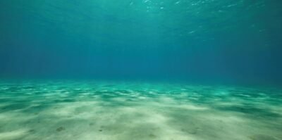 SPORN Aquarium Background Static Cling Ocean Floor 36' x 18'