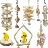 Deloky 8 Packs of Bird Parrot Swing Chewing Toys-Natural Wood Bird