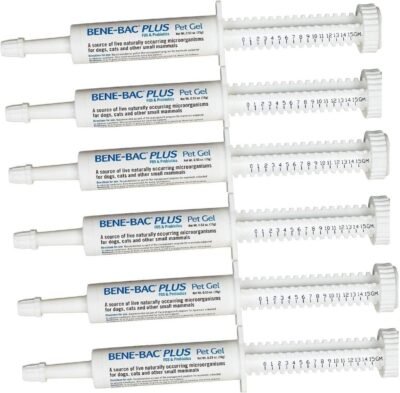 6 Pack Bene-Bac Plus Gel 15g Syringe 6 -Pack
